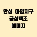 리버하우스 | 안성에서 이런 리버뷰를, 이 가격에요?