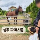 풀잎농장 | 상주 파머스룸 아이랑 가볼만한곳, 33개월 아기 동물 먹이체험 후기