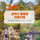 설악산오색마을 | 가을에 꼭 가봐야 할 설악산 흘림골 단풍산행 등산코스 오색약수터까지