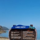 서포리 관광지 오토캠핑장 이미지