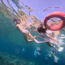 서부부분정비 | 사누르 숙소에서 누사페니다 단독 투어; 서부투어&amp;스노클링 (한국어 가능한 가이드, 만타&amp;거북이 구경까지)