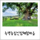 녹색농심인삼체험마을 이미지