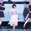 푸른산호초 이미지