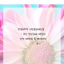 중앙대로 | 전담GATE 서면중앙대로점 : 무인 전자담배 매장의 반전 매력에 푹 빠져버린 후기