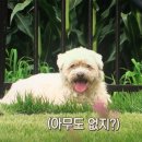 구름밭농장 이미지