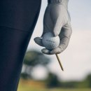 골프킹 아카데미 이미지