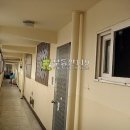 강동로5-2 이미지