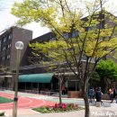 서울사대부설초등학교 이미지