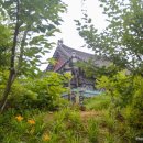 커피꽃향기 이미지