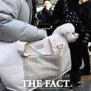 재진축산 이미지