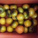 ♠ 대저 짭짤이 토마토 특품 2.5kg도 구매할수있습니다. ♠ 이미지