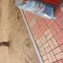 아름어린이공원 이미지