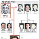 2002년 5월 17일, / 김정일의 전처 성혜림 사망 이미지