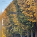 보비동물병원 이미지