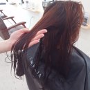 수청중학교 | 충주 미용실 시세이도 클리닉 후기.