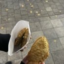 해치커피 | 굴포천역 청리단길 애견동반카페 해치 내돈내산 후기