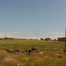 타슈켄트 이미지