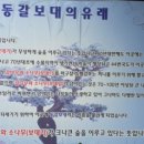 동갈보대 이미지