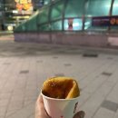 꽈백최선생