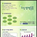 동산인쇄디자인