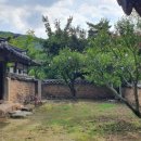 혜산한의원 이미지