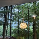 유명산258 이미지