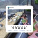 단짠아쿠아 평화점 이미지