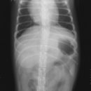 이광수동물병원 이미지