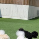 교촌치킨 연지점 이미지