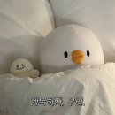 금진가든 네이버블로그