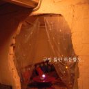 나비바(Bar)