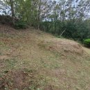 인동낚시터 이미지