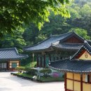 도시농업으로 힐링하기 이미지