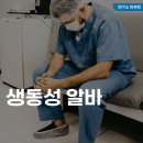 씨알씨 | 생동성 알바 후기, 급여, 신청 사이트, 준비물 정보