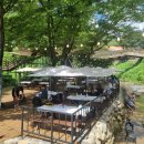 참새미골 | 대구 근교 계곡식당, 팔공산 참새미골 오픈런 후기