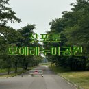 [삿포로] 7월 여름 모에레누마공원 후기 / 현지인들만 가는 히든 공원
