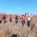 새만금바람길 이미지