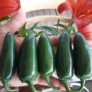 명지농장1 이미지