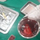 새소망치과의원 이미지