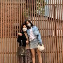 모전여전 이미지