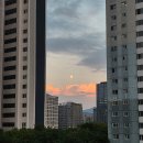 송하진 | 25년 9월 기록 :: 결국 집 밖에 나서야 에피소드