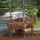 오상농장 이미지