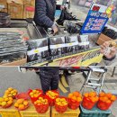 진남 농장 이미지