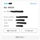 에어부산 | [일본 여행준비]투어비스에서 예약한 에어부산 항공권 예매 후기 내돈내산