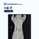 동두천 메디컬 센터 이미지