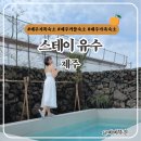 스테이 유수 | 제주 서쪽 감성숙소 온수풀 자쿠지 독채숙소 추천 한경면 스테이유수