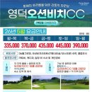 오션비치 이미지