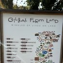 제주자연동물병원 | [제주 가볼만한곳] 동물들과 함께하는 힐링 여행지, 길갈팜랜드 방문 후기