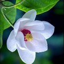 1프로 이미지