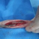 하남동물병원 이미지